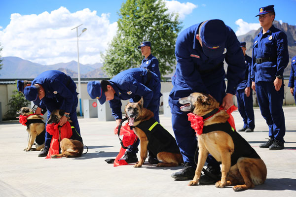 拉薩5條搜救犬光榮退役 曾參與