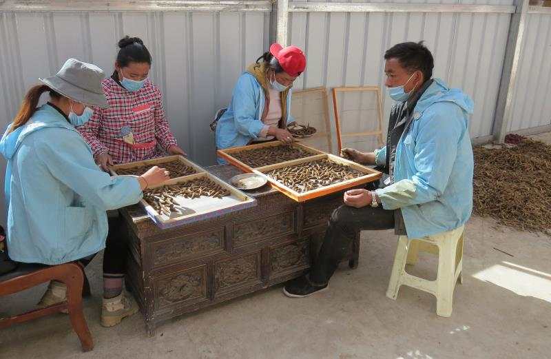 微信图片_20200725192850.jpg 微信图片_20200725192850.jpg