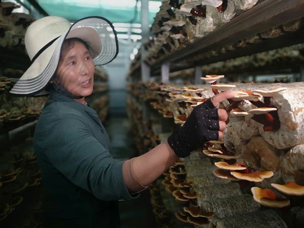 News620200806P00645CYU.jpg News620200806P00645CYU.jpg