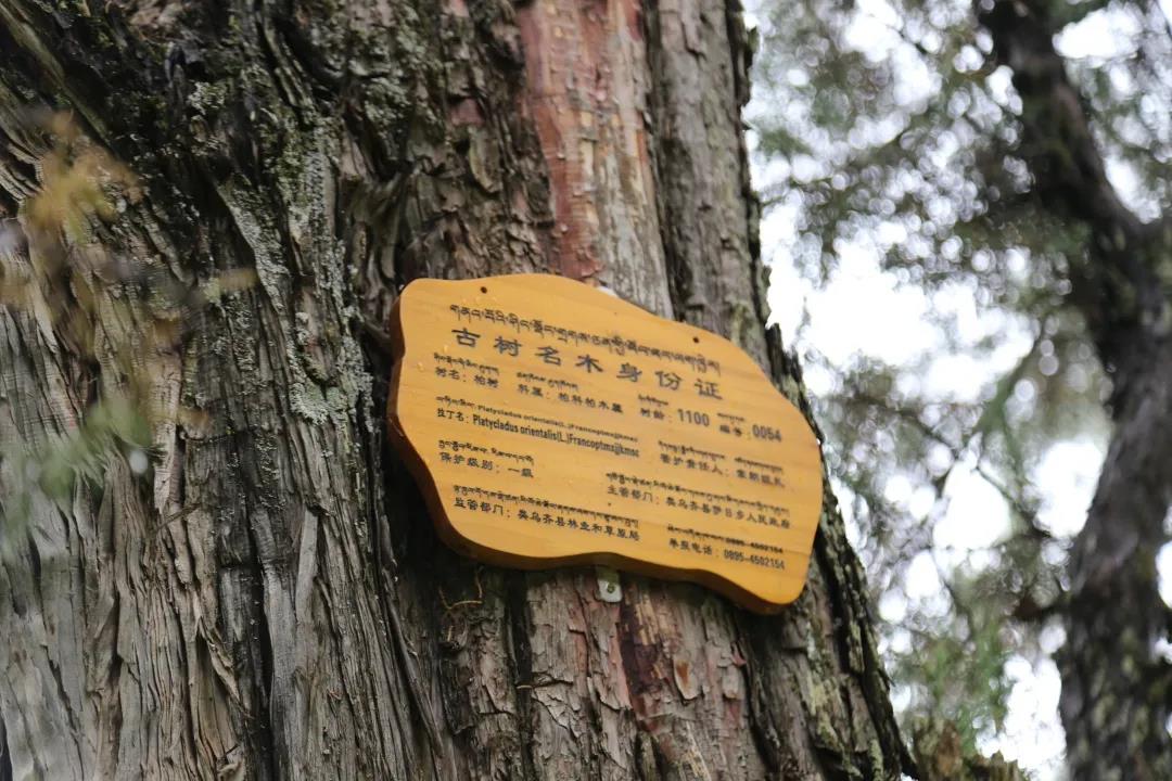 微信图片_20200731110431.jpg 微信图片_20200731110431.jpg