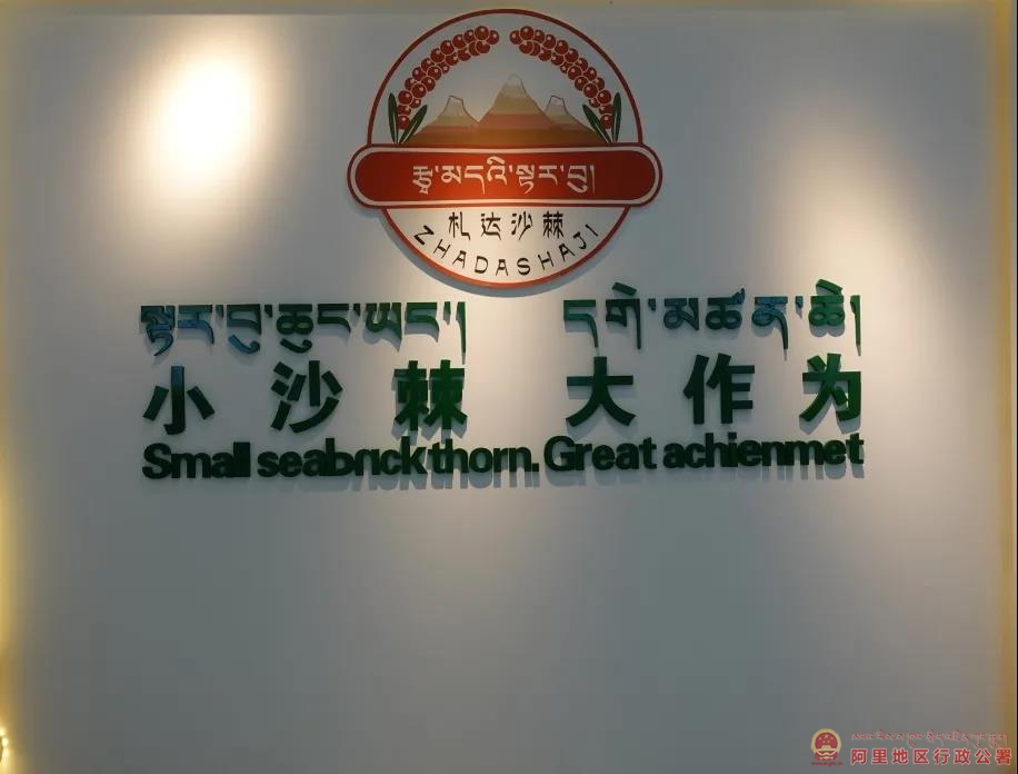 undefined undefined